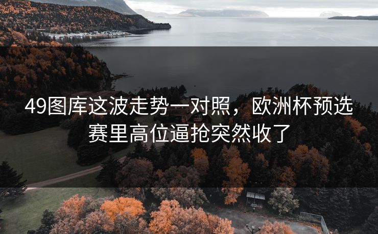 49图库这波走势一对照，欧洲杯预选赛里高位逼抢突然收了