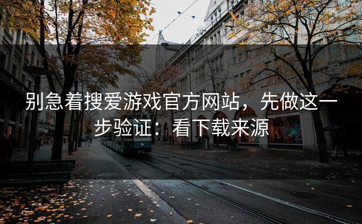 别急着搜爱游戏官方网站，先做这一步验证：看下载来源