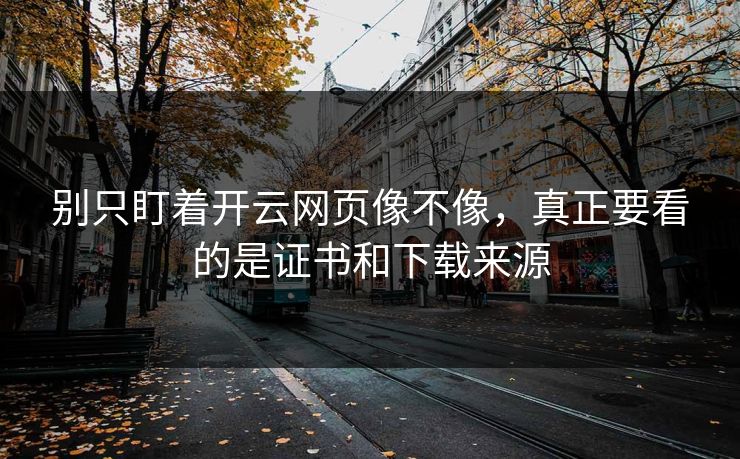 别只盯着开云网页像不像，真正要看的是证书和下载来源