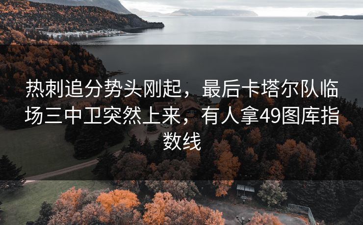 热刺追分势头刚起，最后卡塔尔队临场三中卫突然上来，有人拿49图库指数线