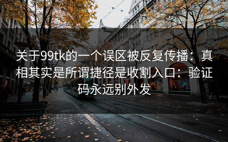 关于99tk的一个误区被反复传播：真相其实是所谓捷径是收割入口：验证码永远别外发